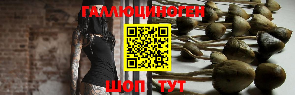 Кохма  Галлюциногенные грибы GOLDEN TEACHER  Галлюциногенные грибы GOLDEN TEACHER  Вход с VPN 